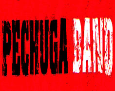 click to enlarge logo